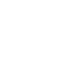 Pin icon
